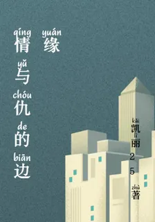 情與仇的邊緣 封面