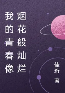 我的青春像煙花般燦爛 封面