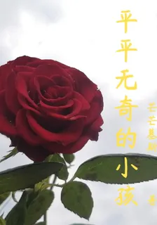 平平無奇的小孩 封面
