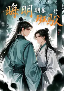 晦明朝暮竹斑駁 封面