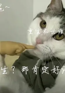 重生？那肯定要好好活 封面