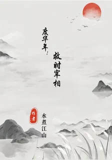 度華年：救時宰相 封面