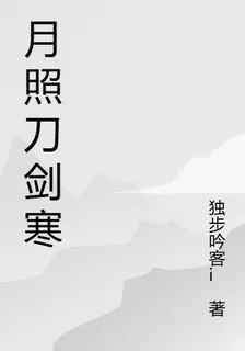 月照刀劍寒 封面