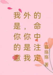 我是你的意外，你是我的命中註定 封面
