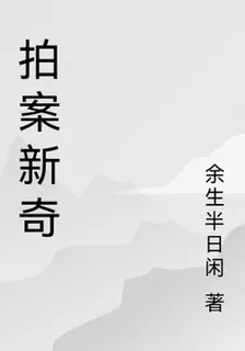 拍案新奇 封面