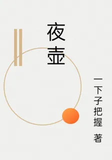 夜壺 封面