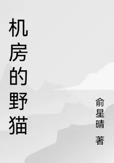 機房的野貓 封面