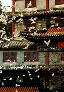 滄月瀾夕：霍格沃茲的命運改寫 封面
