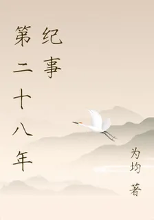 第二十八年紀事 封面
