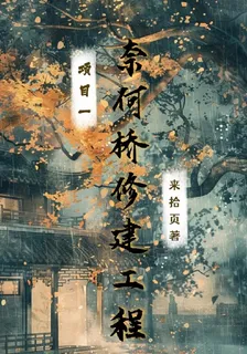 奈何橋修建工程項目一 封面