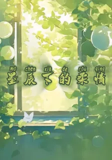 墨辰下的柔情 封面