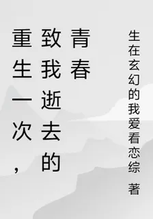 重生一次，致我逝去的青春 封面