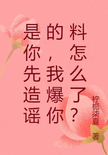 是你先造謠的，我爆你料怎麼了？ 封面