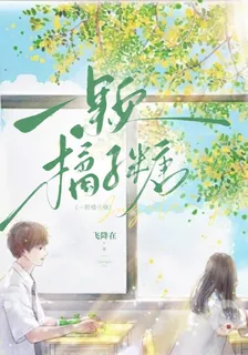 一顆橘子糖 封面
