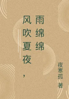 風吹夏夜，雨綿綿 封面