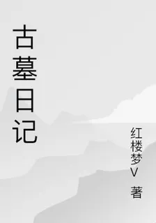 古墓日記 封面