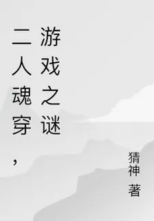 二人魂穿，遊戲之謎 封面