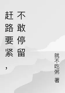 趕路要緊，不敢停留 封面