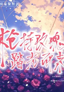槍持玫瑰，踏光而來 封面