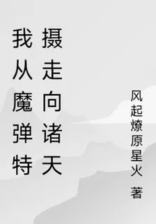 我從魔彈特攝走向諸天 封面