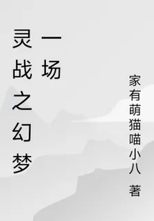 靈戰之幻夢一場 封面