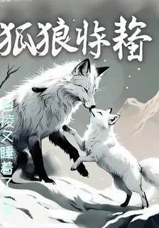 狐狼祗祠 封面