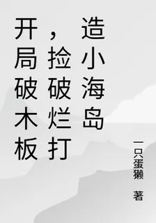 開局破木板，撿破爛打造小海島 封面