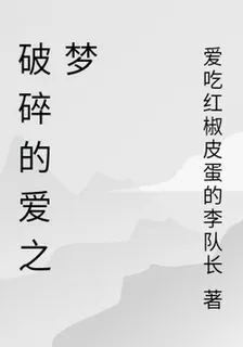 破碎的愛之夢 封面