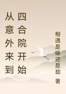 從意外來到四合院開始 封面