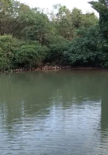口供？ 封面