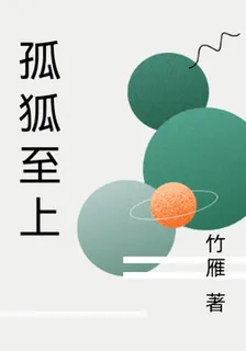 孤狐至上 封面