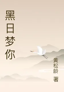 黑日夢你 封面