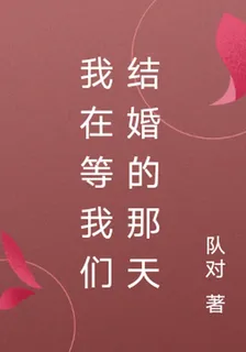 我在等我們結婚的那天 封面