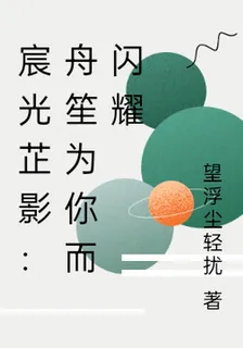 宸光芷影：舟笙爲你而閃耀 封面
