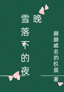 雪落下的夜晚 封面