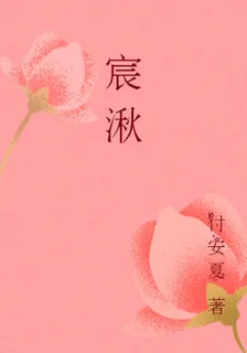 宸湫 封面