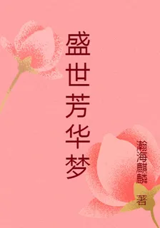 盛世芳華夢 封面