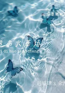 追弟火葬場 封面