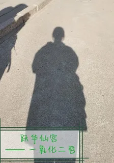 躍華仙宮 封面