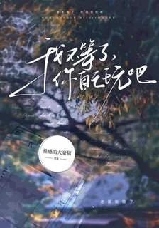 我不等了，你自己玩吧 封面