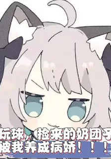 玩球，撿來的奶糰子被我養成病嬌 封面