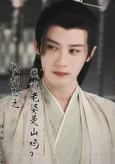 長相思之我的老婆是山雞？ 封面