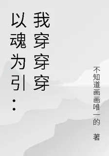 以魂爲引：我穿穿穿 封面
