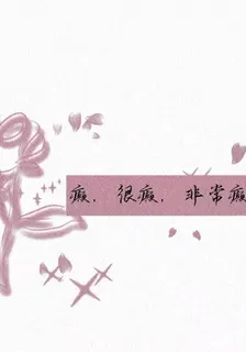 癲，很癲，非常癲 封面