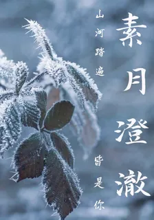 素月澄澈 封面