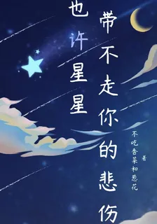也許星星帶不走你的悲傷 封面