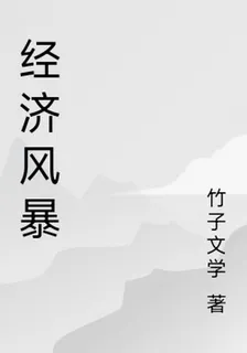 經濟風暴 封面
