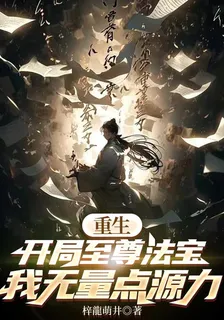 重生開局至尊法寶，我無量點源力 封面