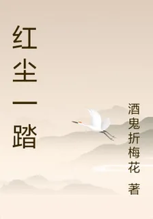 紅塵一踏 封面