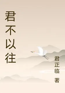君不以往 封面